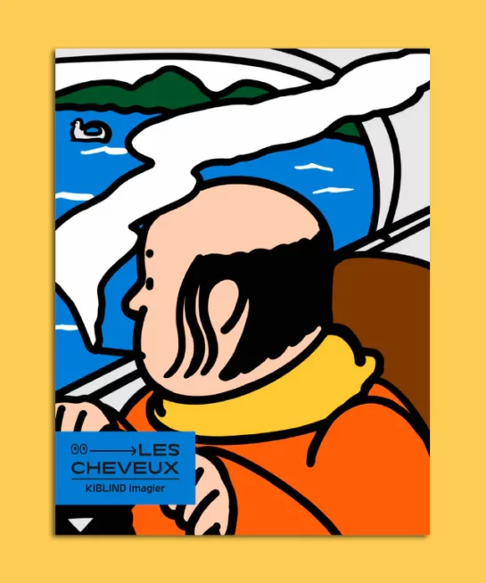 Livre Les Cheveux